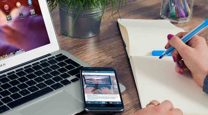 Creative decorating with houseplants, from floor to ceiling