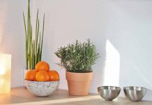 StreetScore scores a street view based on how safe it looks to a human